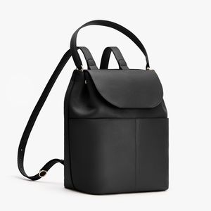Cuyana Leather Backpack 16”